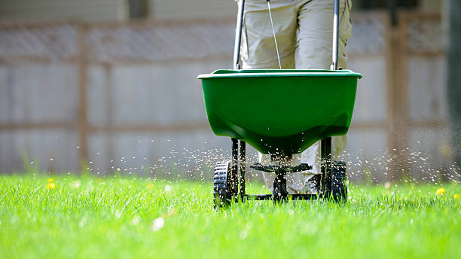 fertilizing